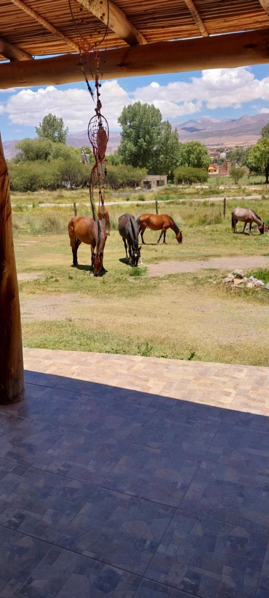 Cabanitas El Reposo Humahuaca Ξενοδοχείο Εξωτερικό φωτογραφία